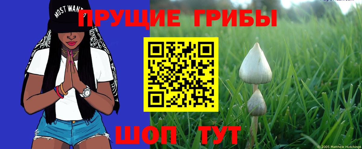 Псилоцибиновые грибы MAGIC MUSHROOMS Кондопога
